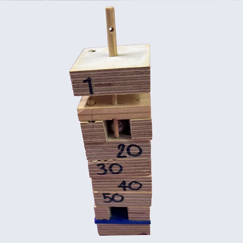 secret box 60
