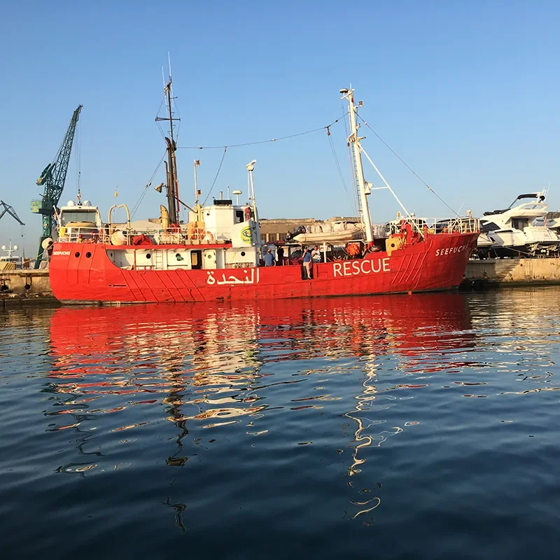 SAR #6
