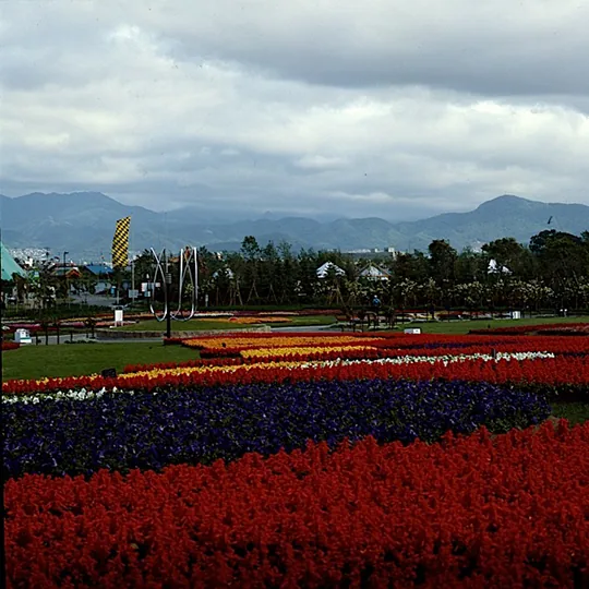 muenchener garten sapporo – bild 15 von 26