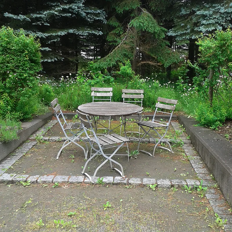 muenchener garten sapporo – bild 25 von 26