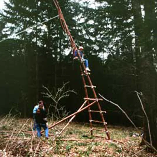 hochsitz 1992 – bild 9 von 9