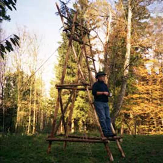 hochsitz 1998 – bild 6 von 10